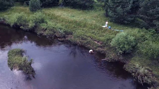 Ветлуга в 2017 году