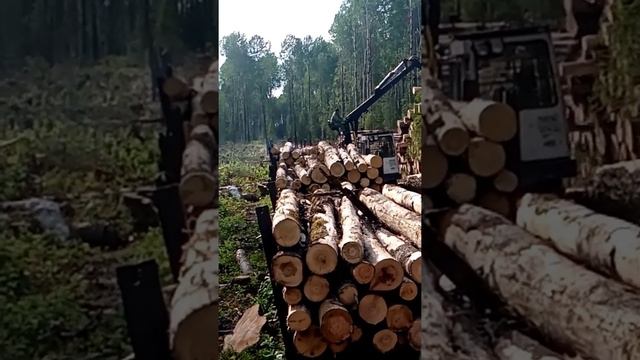 Таврическая УЖД смотреть онлайн