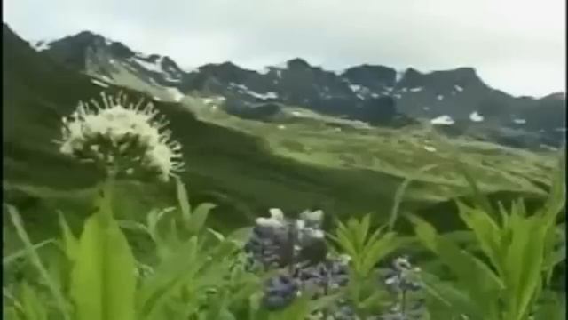 Ya Ilahi (Hallelujah Islamic Version)