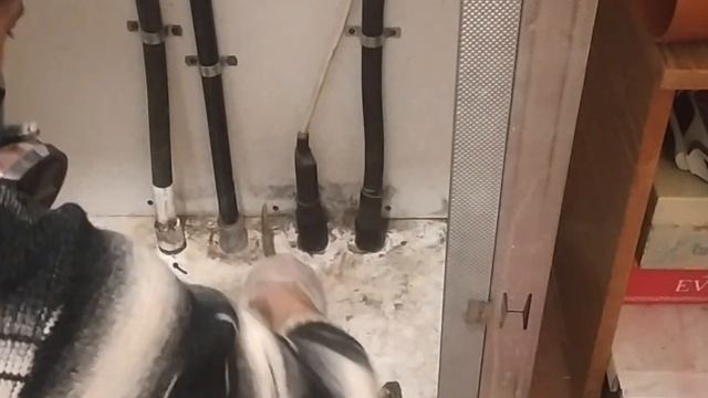 СИП дом и плесень в нем. Откуда и как ее убрать? смотреть онлайн