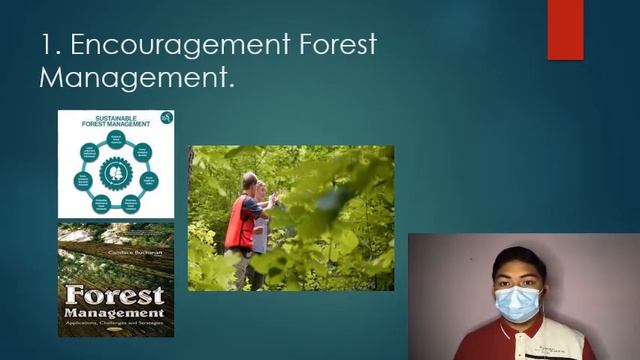 Ways to Stop Illegal Logging смотреть онлайн