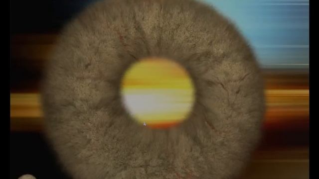 FurMark Benchmark Nvidia 9600 GT stress Test смотреть онлайн