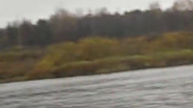 Строй Элит Нижний Тагил смотреть онлайн