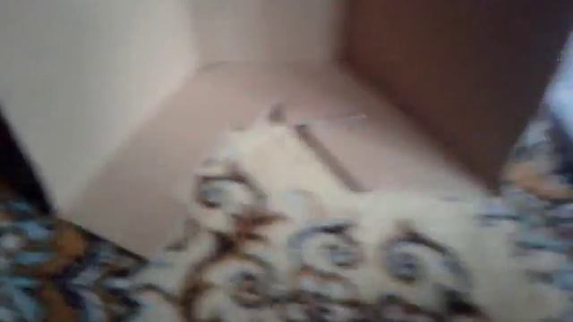 Как сделать комнату - трансформер смотреть онлайн