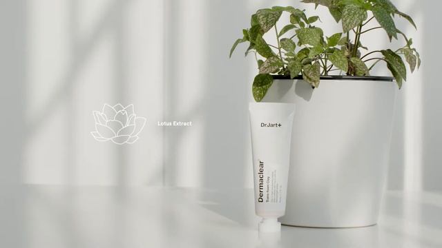 Dr Jart Dermaclear Trans foam Clay смотреть онлайн