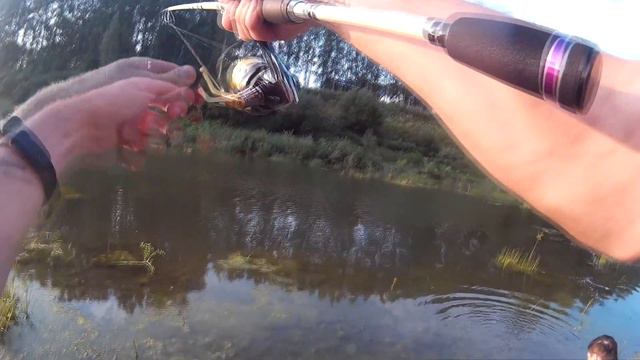 Микроджиг в болоте смотреть онлайн