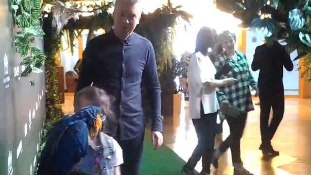 8(916)702-11-08 Фотосессия с ара