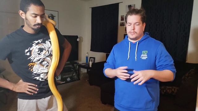 "Designer Morphs" Reticulated Pythons?? смотреть онлайн