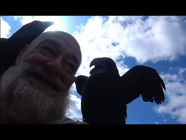 Сказка про Судьбину. смотреть онлайн