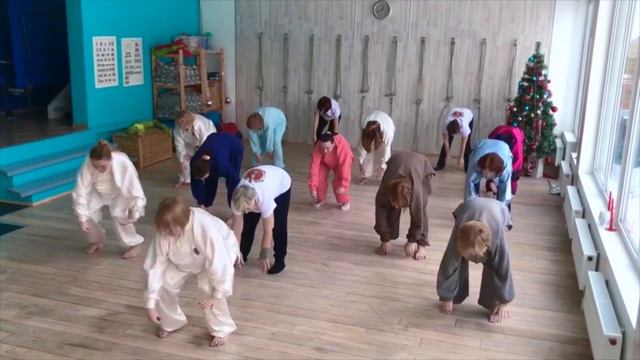 Комплекс цигун У Син (Пять Элементов) смотреть онлайн