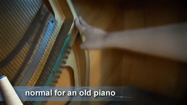 1916 Adam Schaaf Professional Upright Piano смотреть онлайн