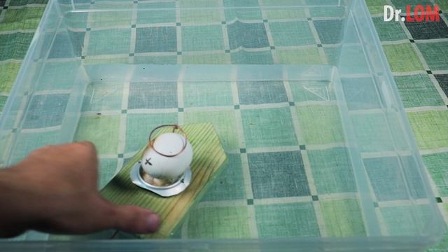 ✅ Лодка на яичной реактивной тяге эксперимент по физике смотреть онлайн