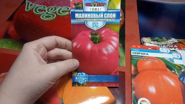 Обзор семян томатов 2019 крупноплодных!!! Урал! смотреть онлайн