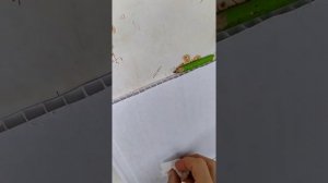 Как убрать монтажную пену ?