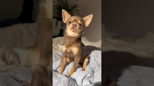 ТОП 9 видео | Лёня