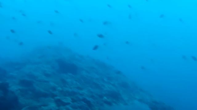 Таиланд | Остров Пхи Пхи | Дайвинг | Наше первое погружение на глубину 10 метров смотреть онлайн