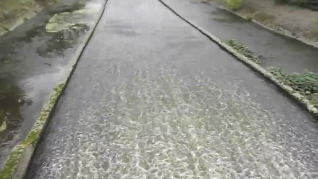 Махнево - Тагил: ВелоЛето 2014 смотреть онлайн