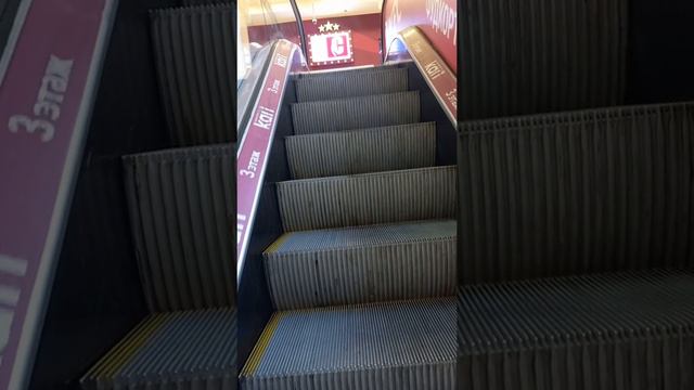 1000025645.mp4 смотреть онлайн