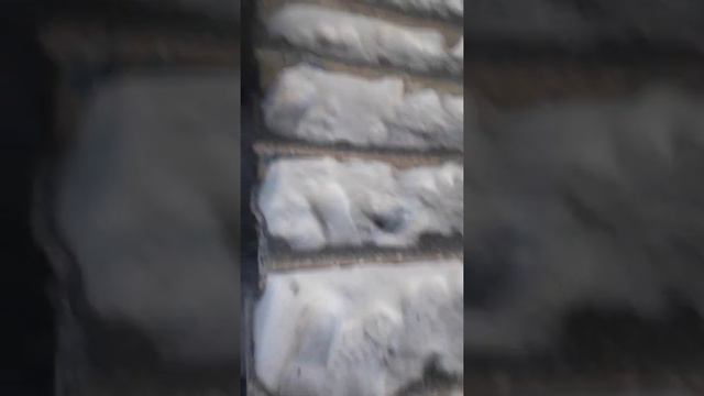 Максим. Бруно?9999 й смотреть онлайн