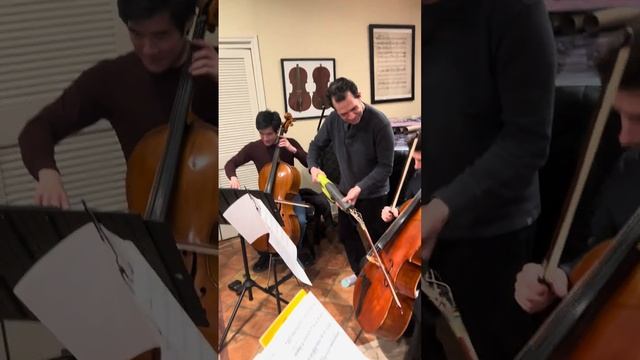 Безумное исполнение Полёт меля на виолончели смотреть онлайн