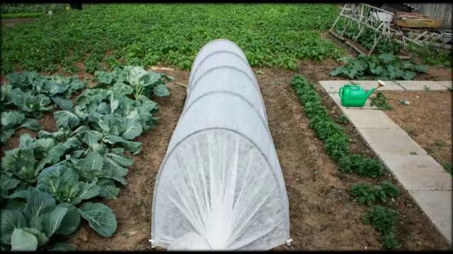 Где купить мини теплицу смотреть онлайн