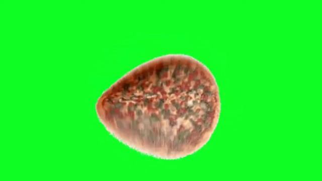 Футаж ? ПИЦЦА ? /на зелёном фоне/ хромакей смотреть онлайн