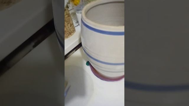Засолка капусты. смотреть онлайн