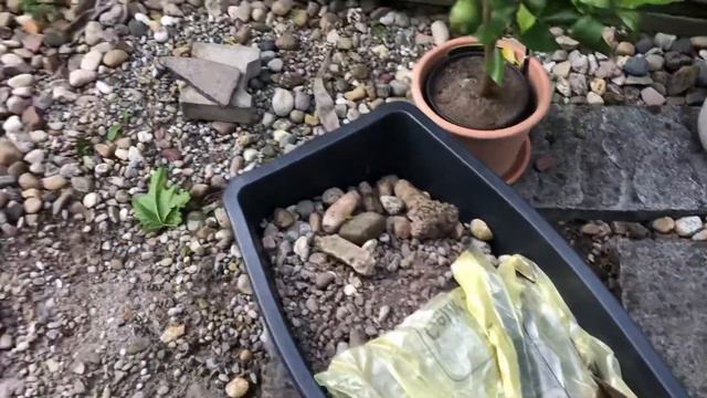 Удалила зуб 🦷 Почему стоматологи зарабатывают много денег? 💰 смотреть онлайн