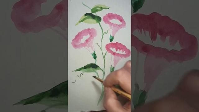 Вьюнок, как нарисовать акварельными красками. смотреть онлайн