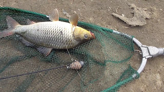 Отчёт о рыбалке Рефтинское водохранилище.