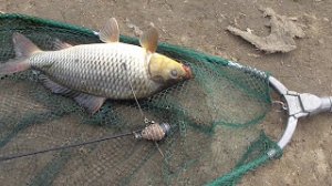 Отчёт о рыбалке Рефтинское водохранилище.