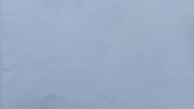 Влог папа и дочка.Поездка в охотничий домик под Михайловкой. Покатухи на снегоходах.Охота на косулю