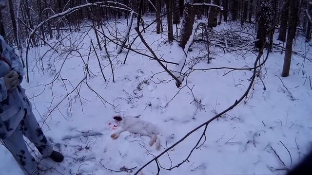 Заяц тумак, РПГ Найда, РПГ Дунай смотреть онлайн