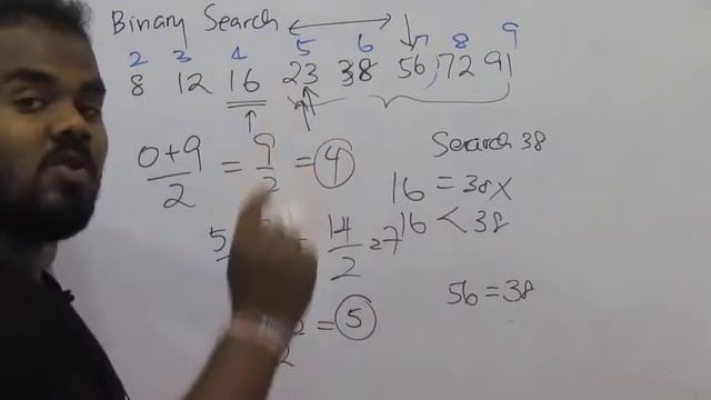 Binary Search in Sinhala || ද්විමය සෙවීම AL ICT || Undergraduate CS SE IT смотреть онлайн