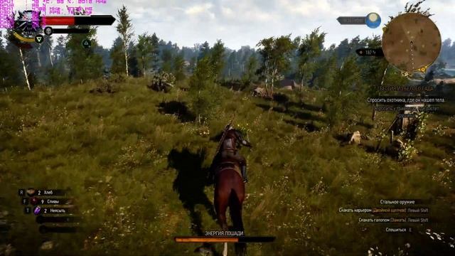 The Witcher 3 4k ULTRA hairworks 60+fps 1070 SLI смотреть онлайн