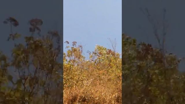 Ovnis Tepic Nayarit México.