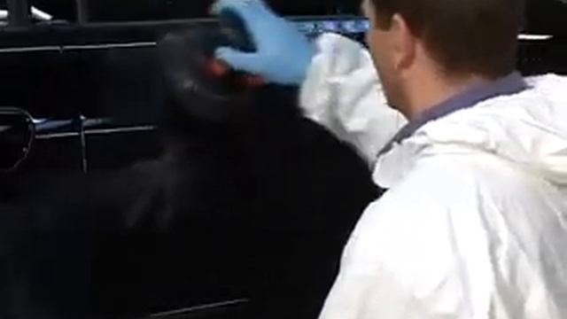 Уроки автомаляра - Убираем разводы на лаке смотреть онлайн