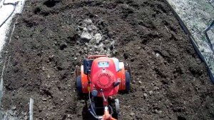 Культивация огорода. Обзор Зид мастер мк-265. 5,5лс