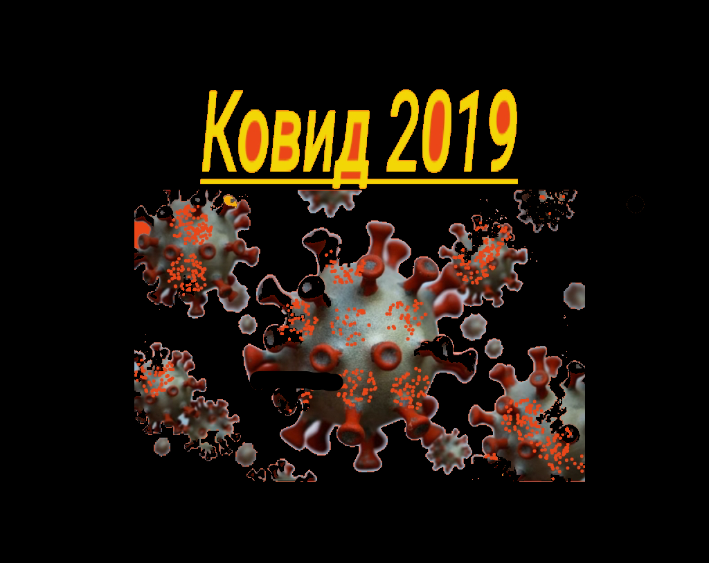 Ковид 2019