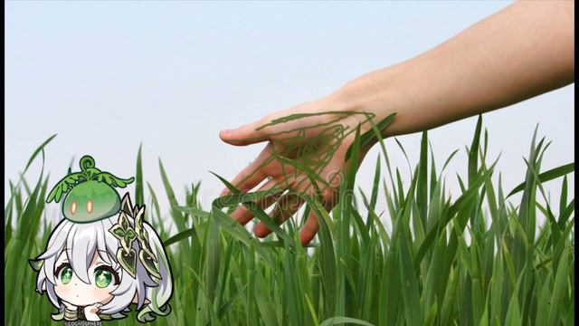 Touch Grass is not an insult towards Gamers - NahidaScience (AI Generated Voice) смотреть онлайн