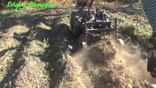 Уборка картофеля 2022 смотреть онлайн