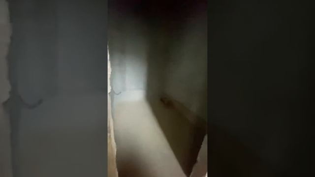 Ура мы купили дом - дуплекс ! Мечта Ковальских сбылась ! Дай Бог все получится ❤️! смотреть онлайн