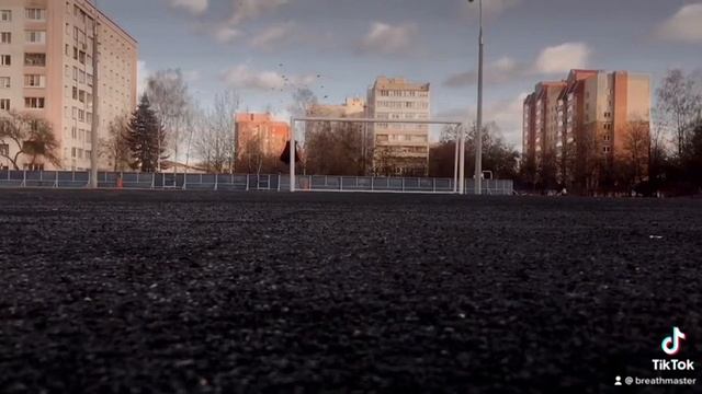 как позвать сразу всех птиц? смотреть онлайн
