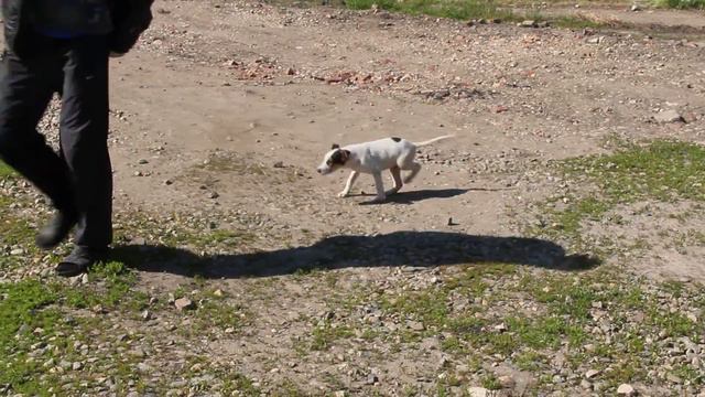 MVI 0176 смотреть онлайн