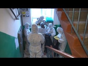 Синдром Плюшкина