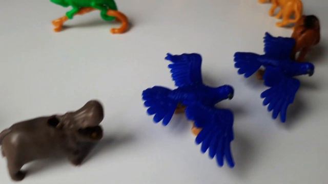 Киндер натунс 2022 kinder natoons на авито смотреть онлайн