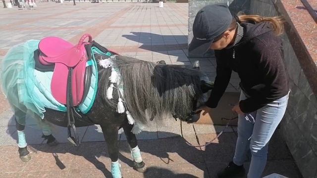 Марий Эл. Йошкар Ола. 12 Апостолов. Июнь 2023 смотреть онлайн