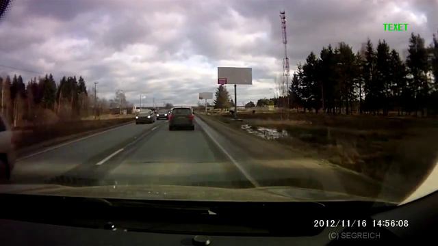 Быка за рога [Аварии с животными] 18+