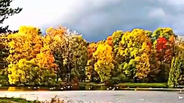 Краски осени смотреть онлайн