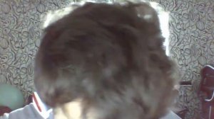 Матрёнин двор ГЛАВА 1